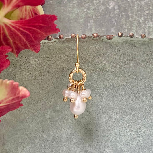 Freshwater Pearl Drop Earrings in Corked Tube